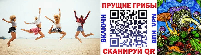 продажа наркотиков  Красноуфимск  Псилоцибиновые грибы Cubensis 